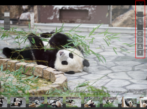 操作パネル（パンダ）